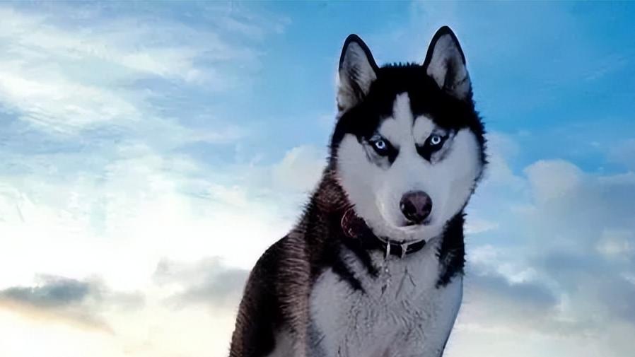 哪怕心有伤痕，依然认可自己的价值