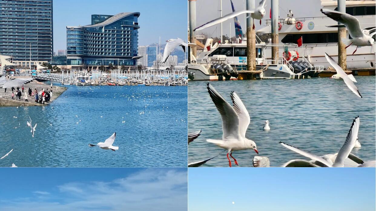 3月份旅游，日照海边玩耍指南