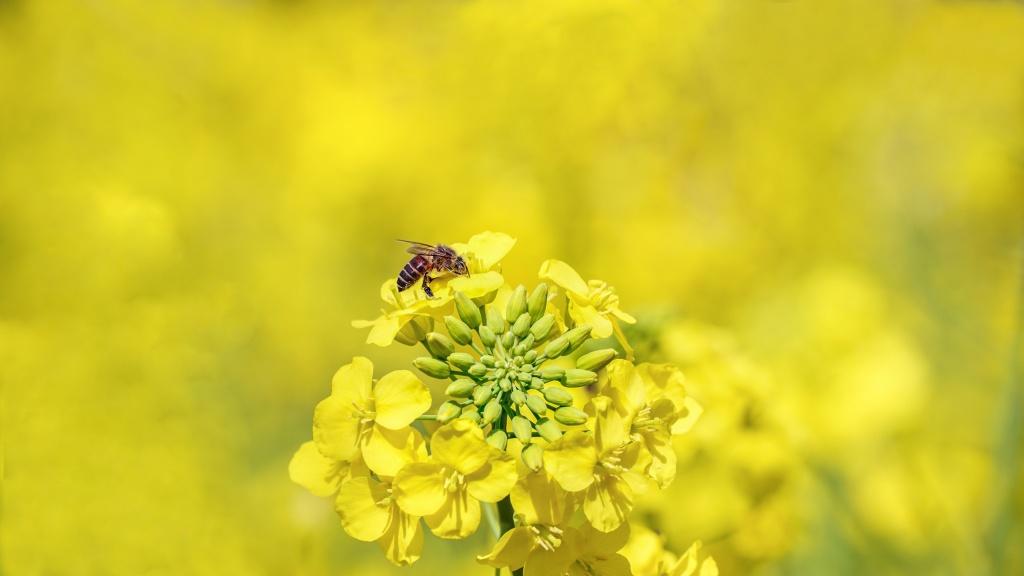 《世间万物，总有欢喜》：人生体验