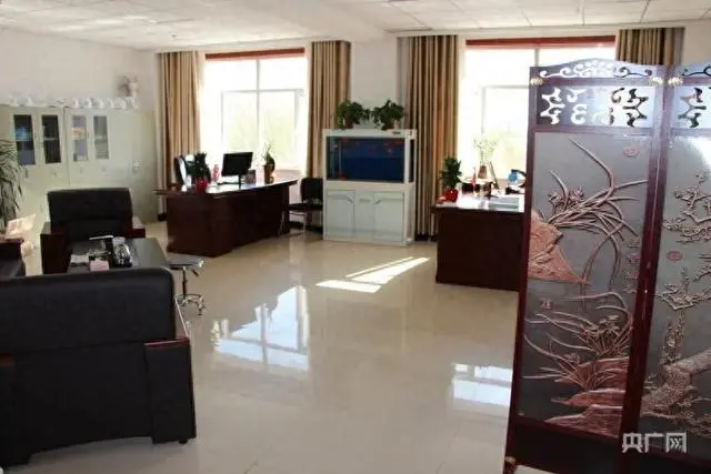 一个200块钱在网上刻的萝卜章！居然撑起了一个号称6000亿的国家级大项目！