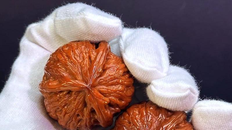 9.9元和9.9万竟是同一种文玩核桃！你知这个“冰与火”的品种么？