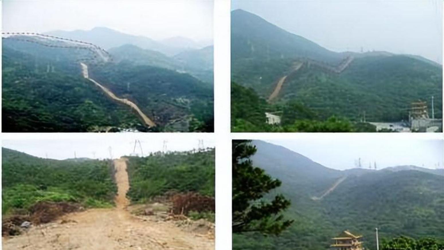 陈志军投案背后，东莞观音山生态遭毁、权益被侵的沉冤终将昭雪