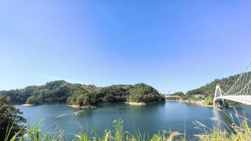 千岛湖民宿有蛇，还是一场自编自导的闹剧