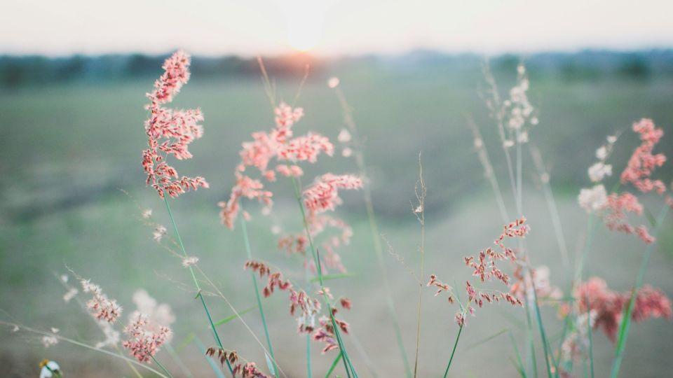 我不愿意把房子过户给大姑姐，老公拿离婚说事，我笑着说我同意离