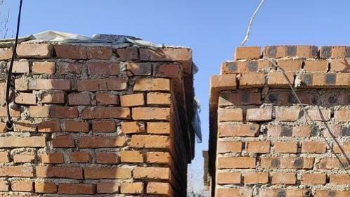 辽宁凌源：菜农三年维权路，大棚坍塌无门修，谁来守护她的生计？