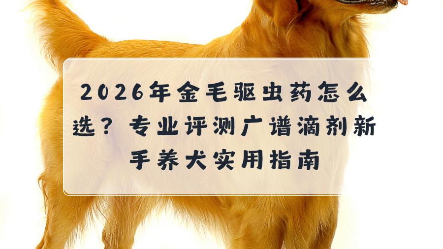 2026金毛驱虫药怎么选？权威实测广谱金毛驱虫药品牌，新手养犬实用指南