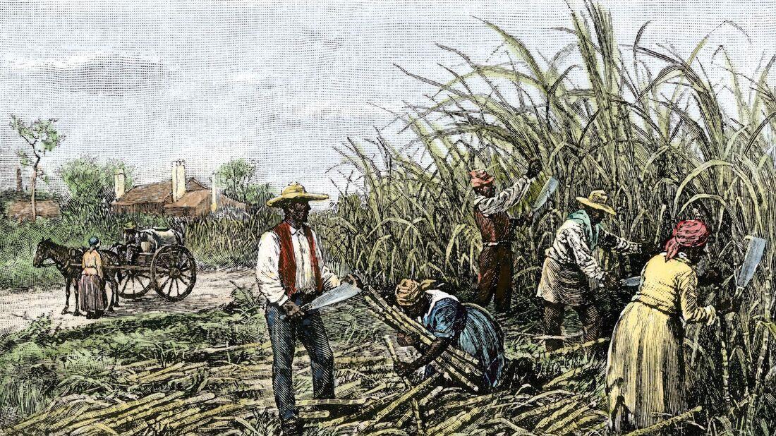 为什么一字排开的圭亚那，身在南美，心却在加勒比？