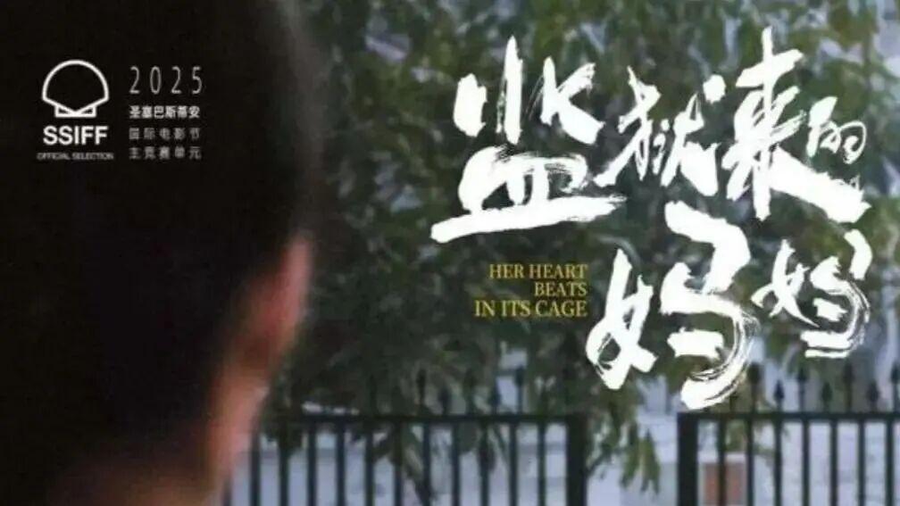疾风财经｜“监狱”骗局背后：一名导演可能踩到的刑法红线