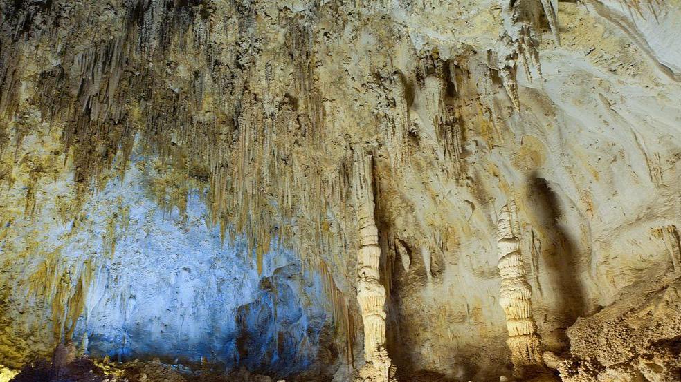 5000年前瑞典人把狼运上孤岛养着？狗驯化故事要重写