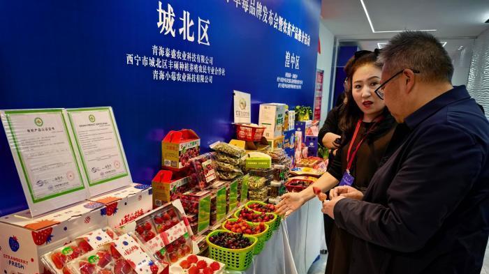 西宁冷凉蔬菜、西宁草莓品牌正式发布