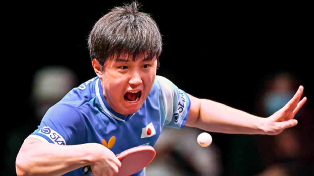 离谱！向鹏0-3黯然离场，张本智和竟被中国粉丝喊“宝宝”？