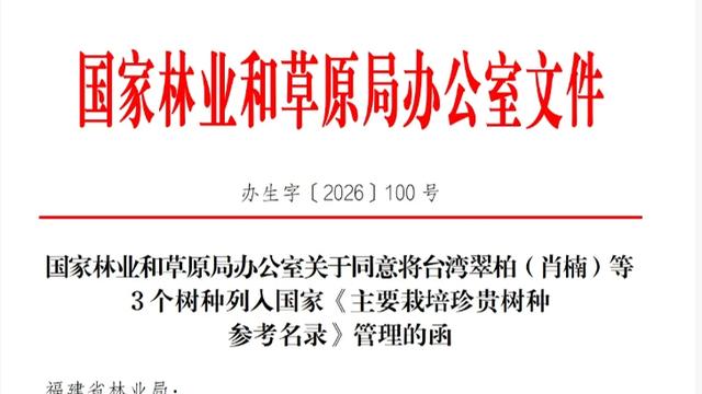 肖楠木（台湾翠柏）获批国家主要栽培珍贵树种