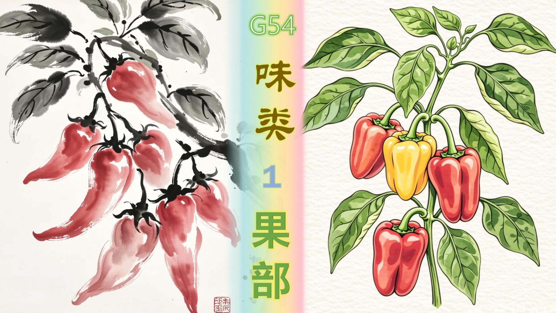 崖椒、蔓椒，山胡椒、毕澄茄《纲目》果部-味类1