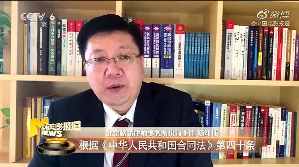 杨红伟：一个追寻唯一正解的破局者，一个重构商业正义的挑战者