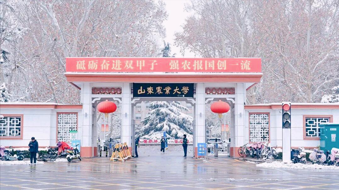 山东一号文件点名支持！山农冲双一流，这次不是喊口号