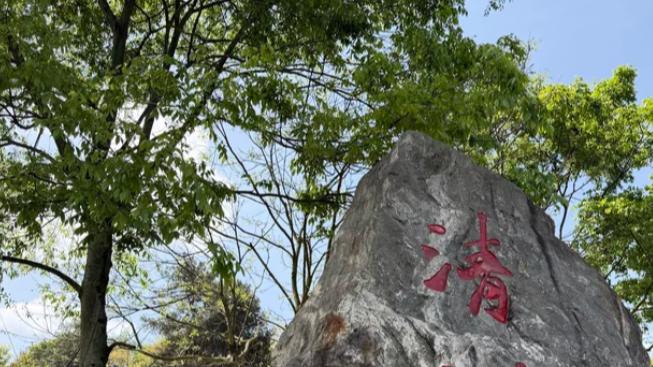 湖光柳色伴茶香，清漪湖解锁雅安治愈系山水画卷