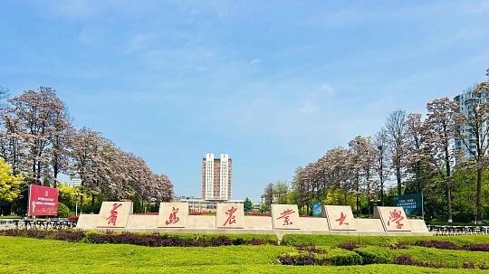 山东500分左右，推荐山东报考性价比的双非院校是青岛农业大学