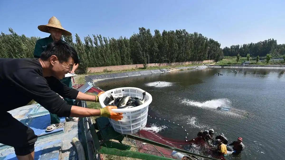 养殖水体水质监测仪的功能特点