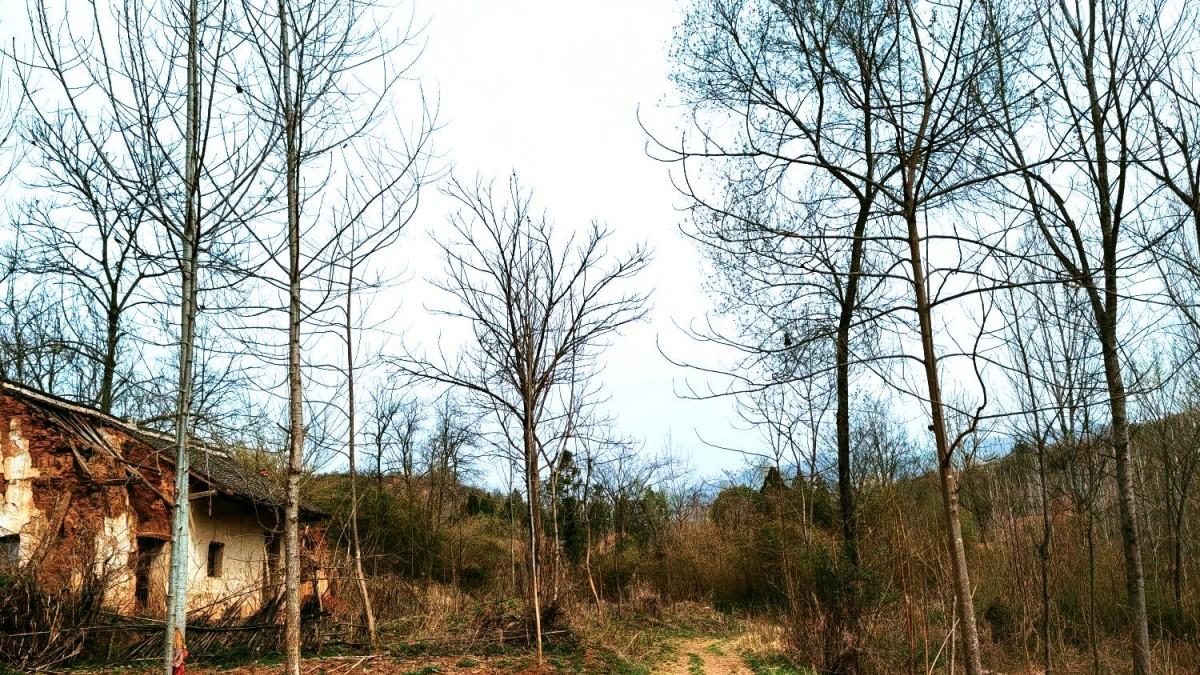 清明祭思  逝水流年
