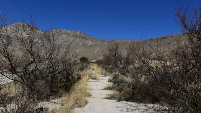 筑波大学团队：借无人机激光雷达勘测废弃道路