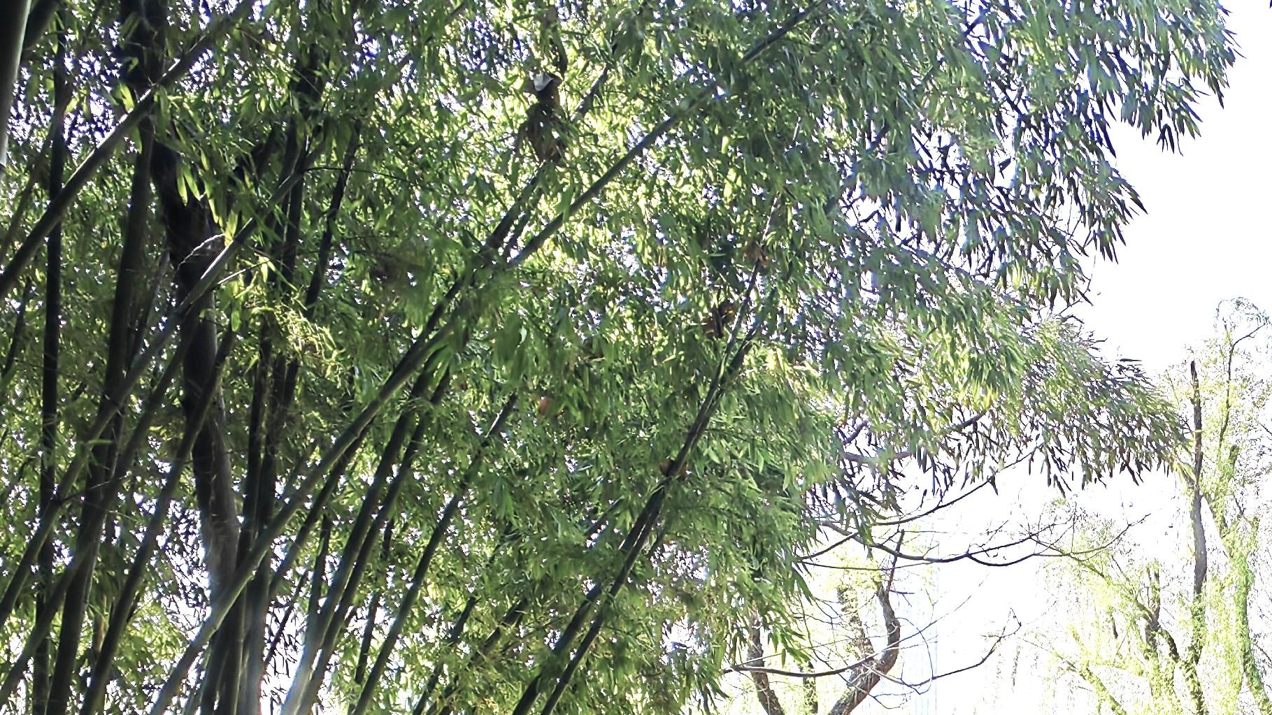 白纸黑字，落笔为准