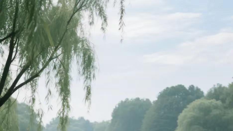 七律  夏雨之喜