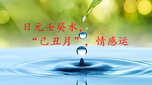 日元壬癸水，2025年腊月，“己丑月”，情感运