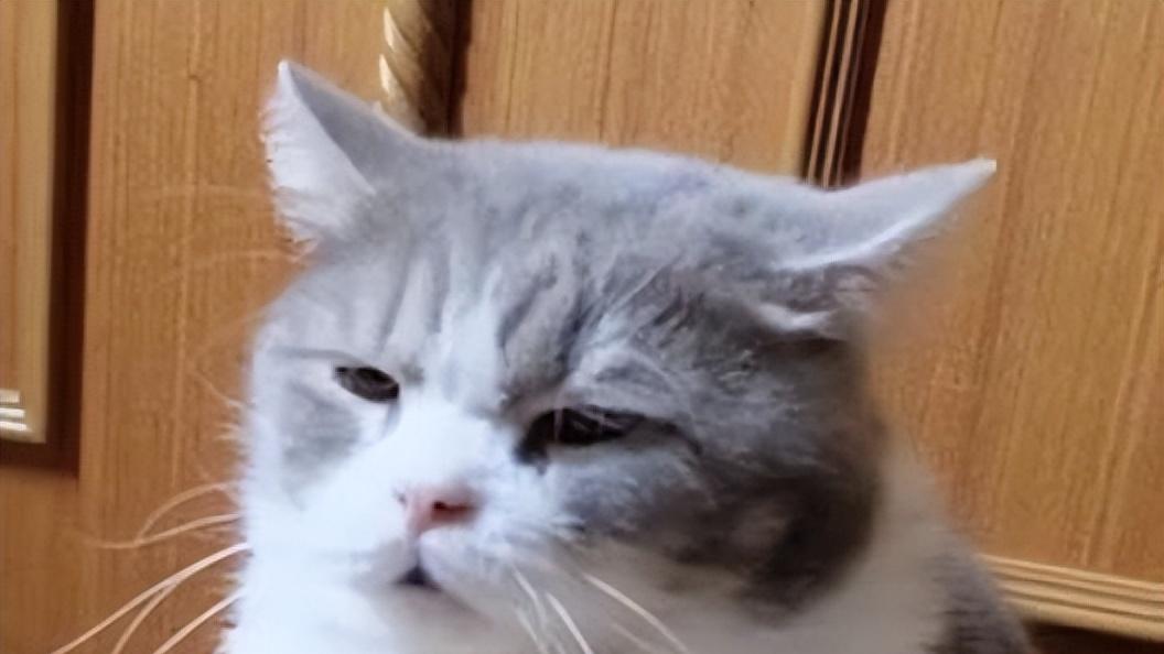 点名TCL X3A ！到底什么时候才能有货？