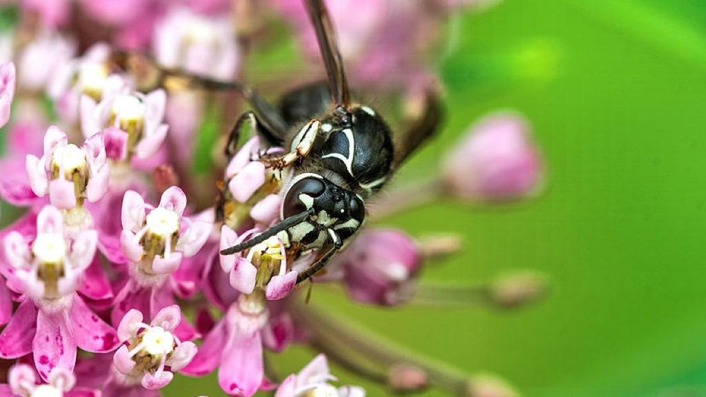 当两岸重新坐回餐桌：和平的底气从哪里来？