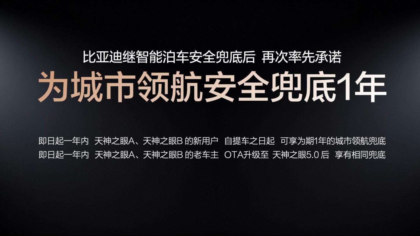 城市领航兜底，比亚迪开了个头，半个月过去没人敢接