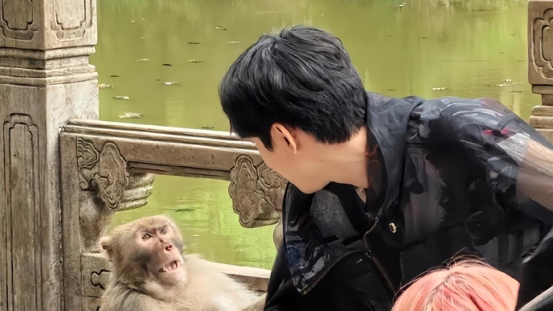 网友热议，为什么LOL大主播转战DOTA2，却没有DOTA主播转战LOL？