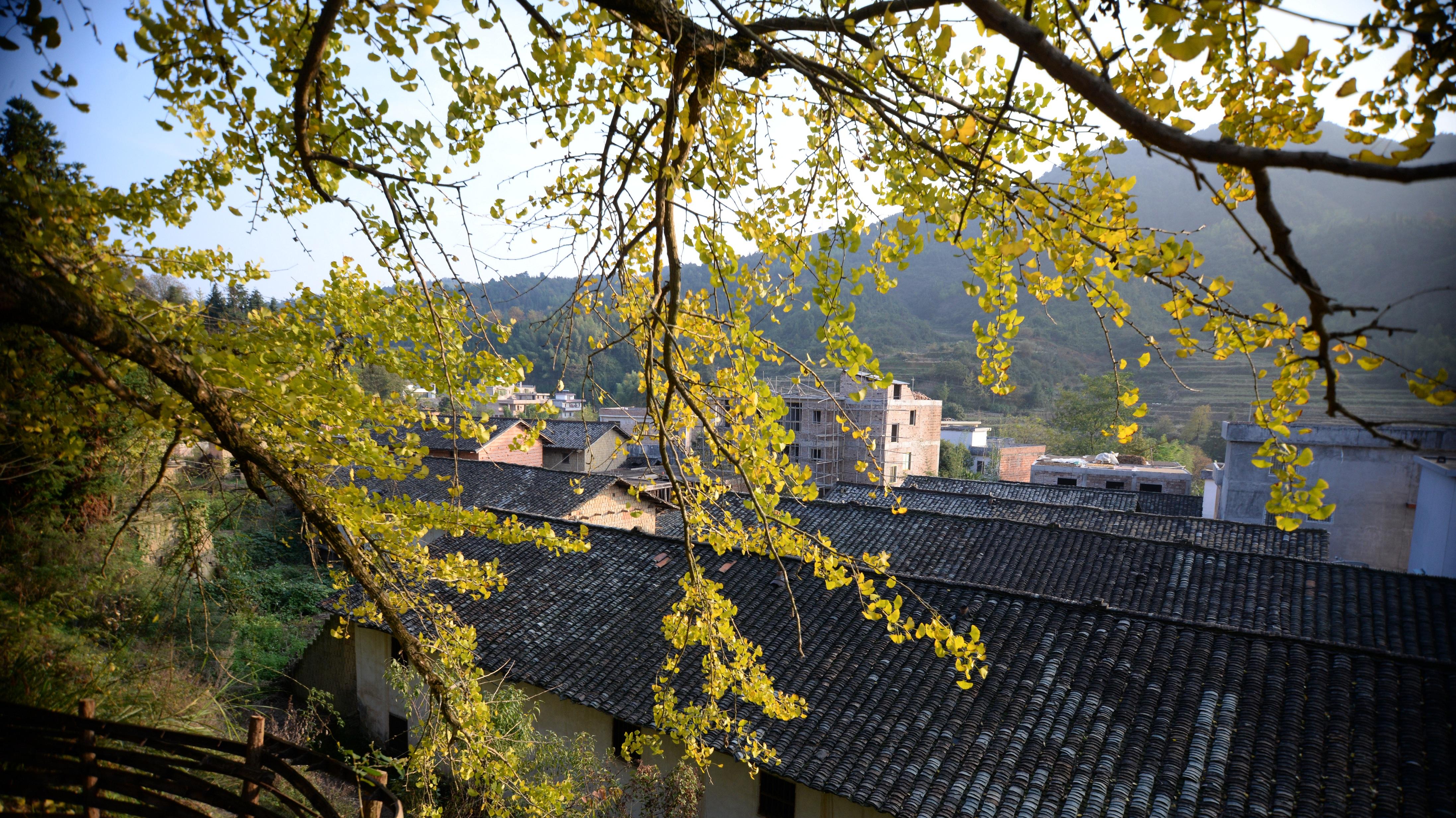 中国人的饭碗，正在发生一场静悄悄的革命