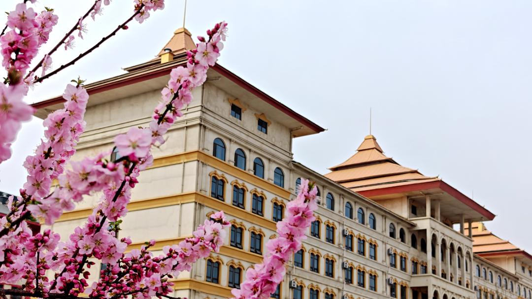 春满校园｜共赴一场河北外国语学院的春日之约