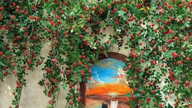 漫步平江路：水陆并行双棋盘，半座姑苏在此街