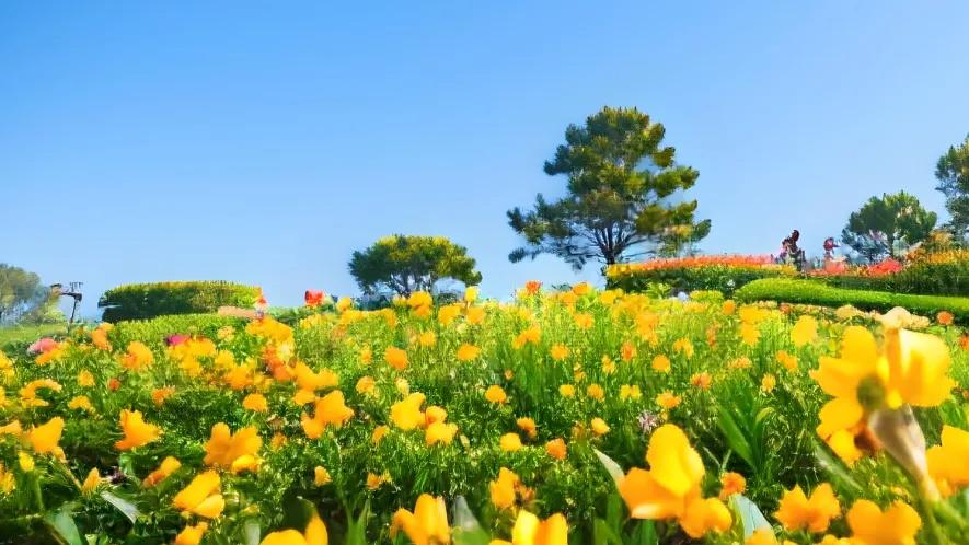 走路时走路，吃饭时吃饭：最简单的修行