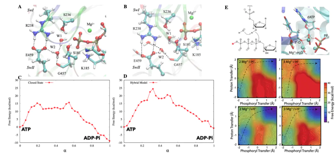 催化活性位点：定义、表征与理性设计