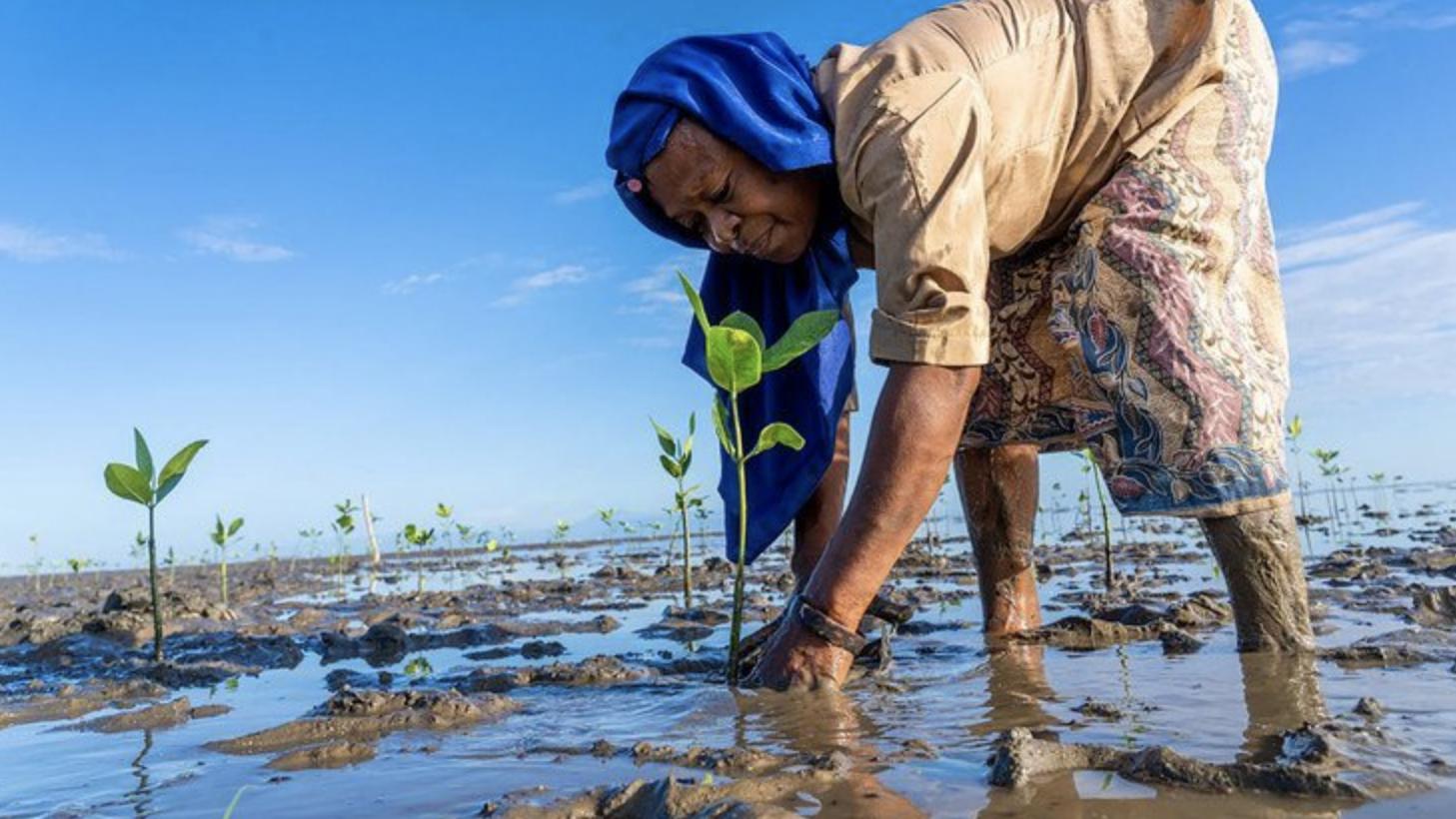 东盟新成员独立20多年，为何越独立，越贫穷？自由的代价？