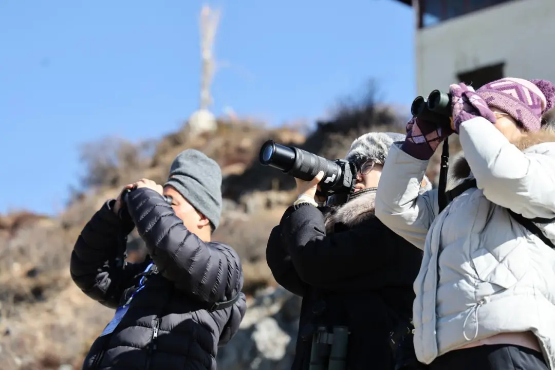 观云台｜候鸟“选房”有多挑？ 271种飞羽用翅膀给你答案