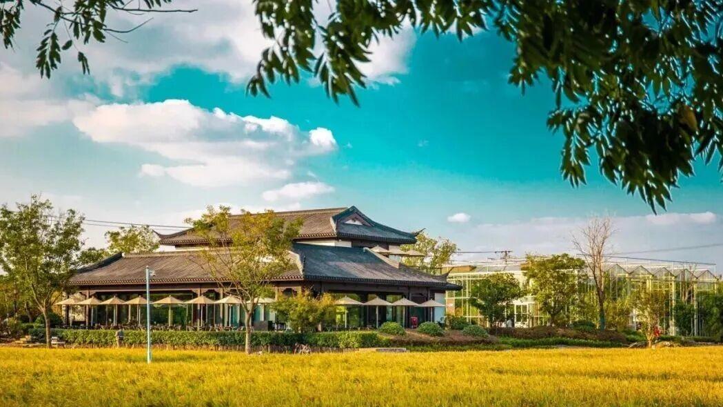 “一尺花园”为什么越来越受欢迎了？