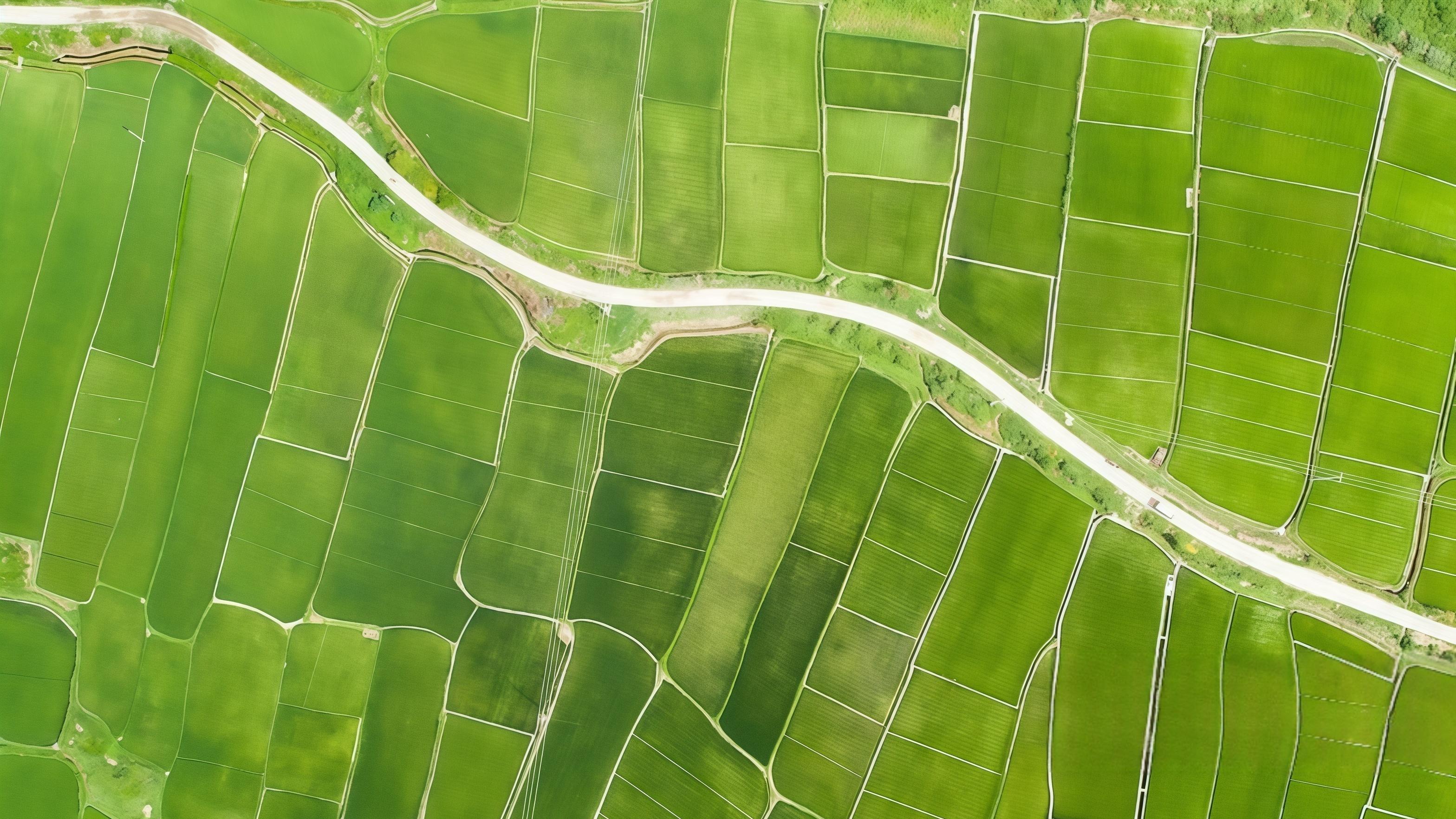 全球经济在颠簸，中国凭什么成了“减震器”