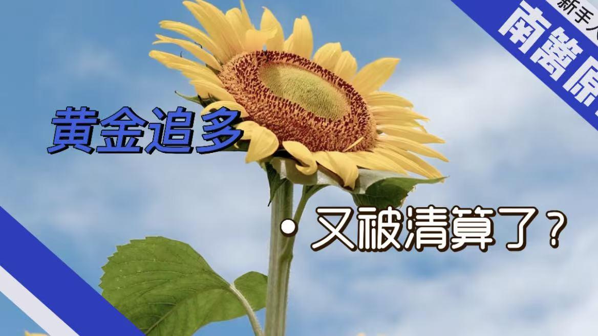 【南篱/黄金】追多又被清算了？