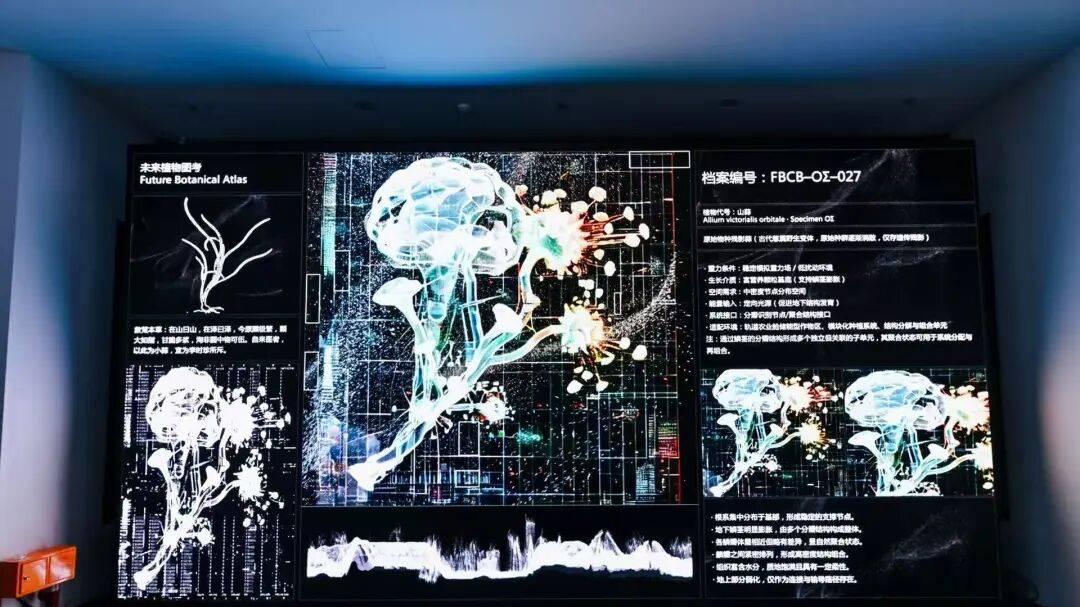 从造屏到造境，再到造场：京东方以显示技术重构数字艺术产业新生态