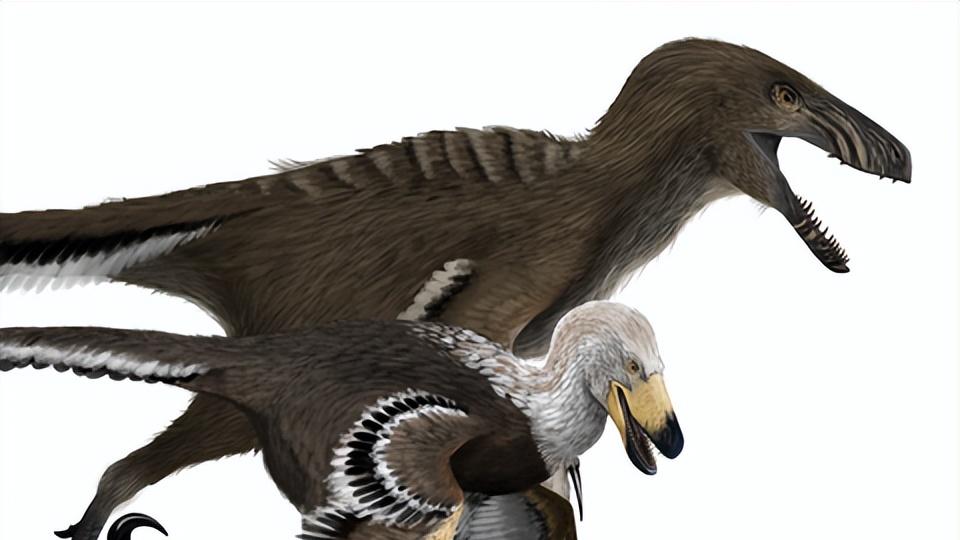 迅猛龙到底有多聪明？