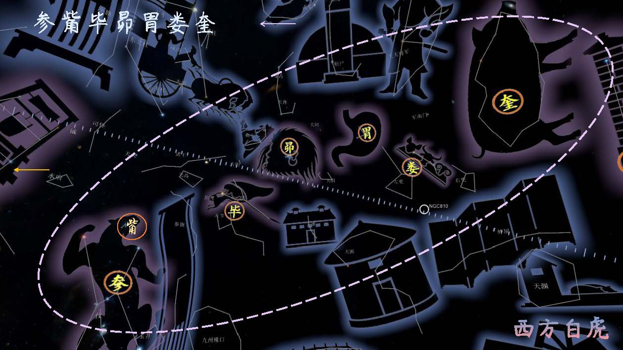 白虎~西方七宿：奎娄胃昴毕觜参【星图】四象-横版（合集3夜空）