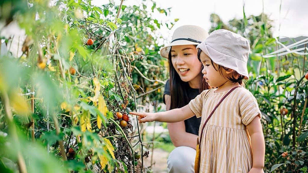 美国刚说“赢了”，五只灰犀牛已踩响地板