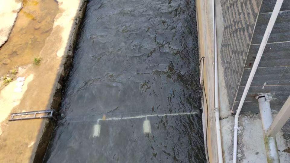 多普勒流量计在河道水文监测中的应用与实测效果分析
