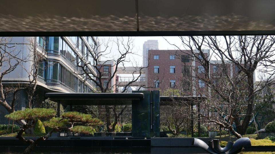 当豪宅开始交付，实探政务东伟星天元！