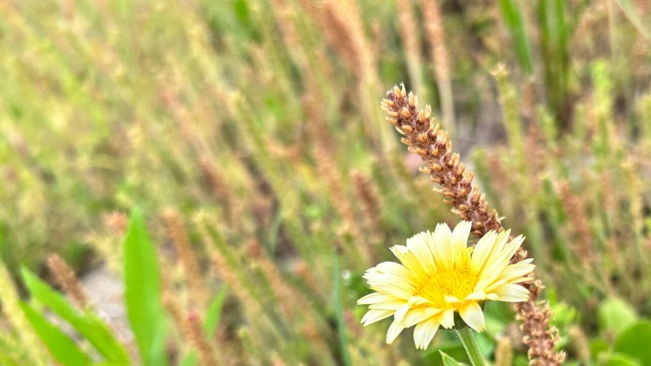 男人背叛，不想离婚的妻子，最难过的关：两个字