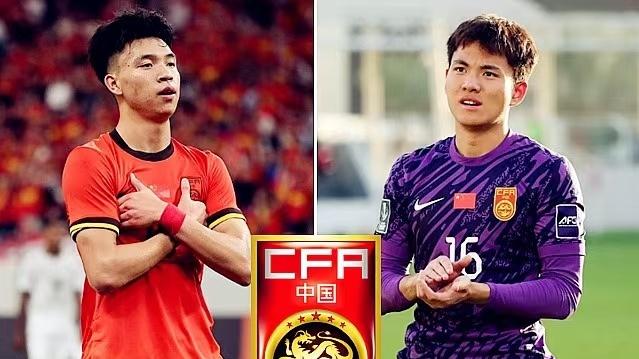 足协假赌黑整治重拳落地：申花、国安、泰山豪门受惩，重塑联赛公平底色