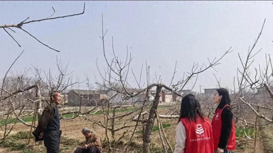 平陆县洪池镇：党建引领聚合力 全域动员促整治